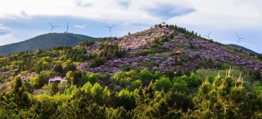 齐齐哈尔碾子山区 全域旅游谱华章 乘风破浪再出发