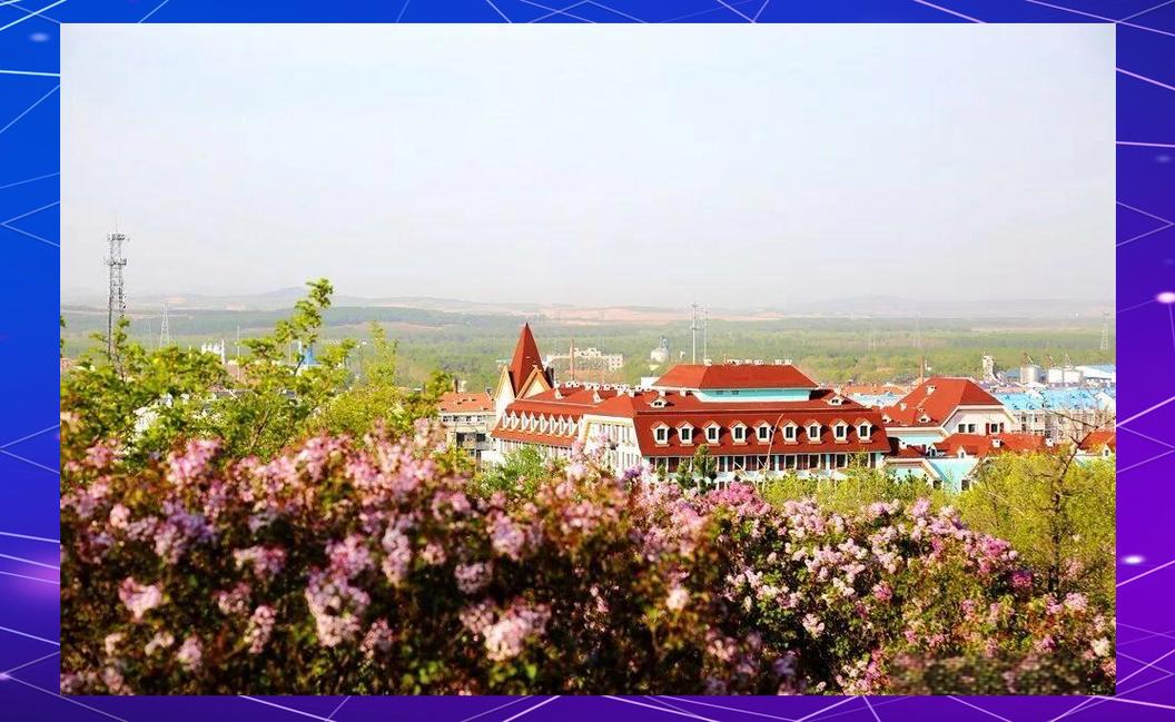 碾子山旅游节庆 赏花、文化与实惠同享